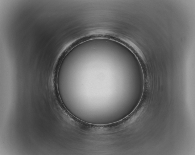 X0000111490783200907211008