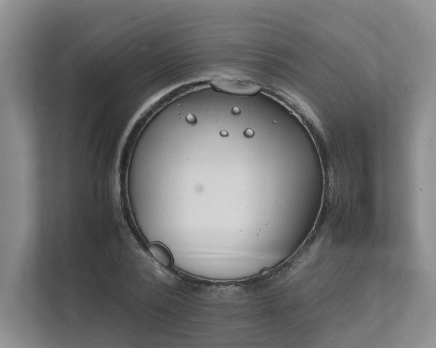 X0000111490784200907211008