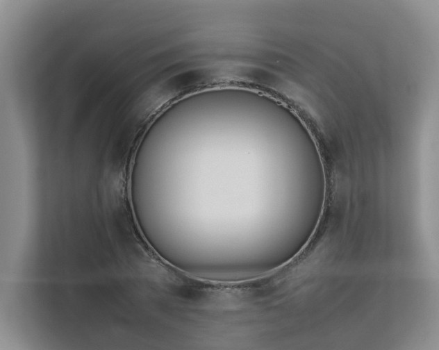 X0000111490785200907211008