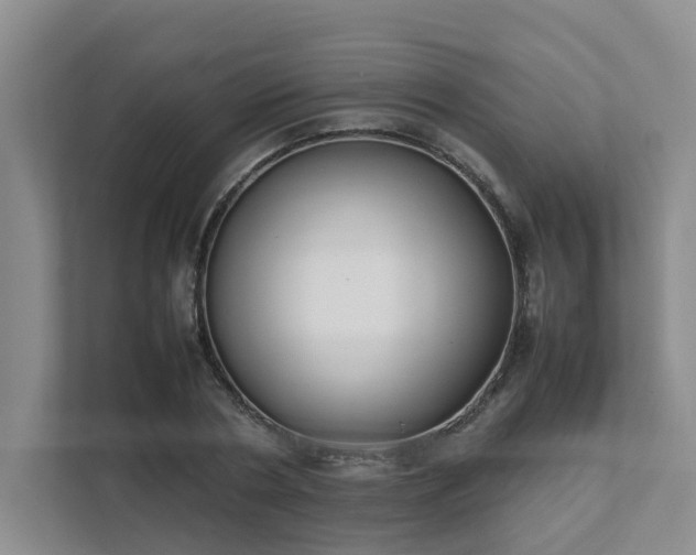 X0000111490786200907211008