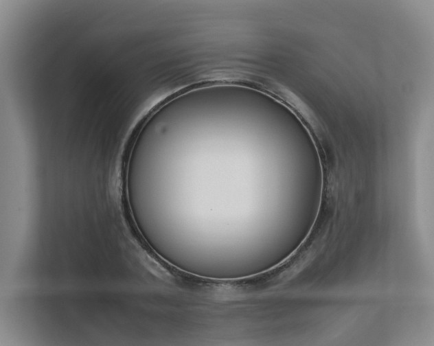 X0000111490787200907211008