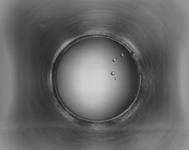 X0000111490788200907211008