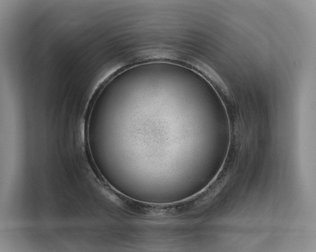 X0000111490790200907211008