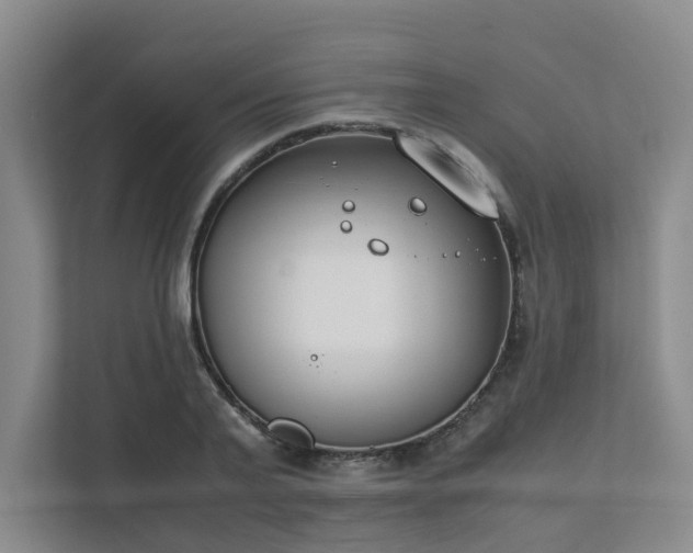 X0000111490791200907211008