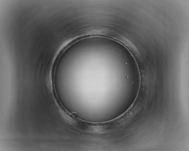 X0000111490792200907211008