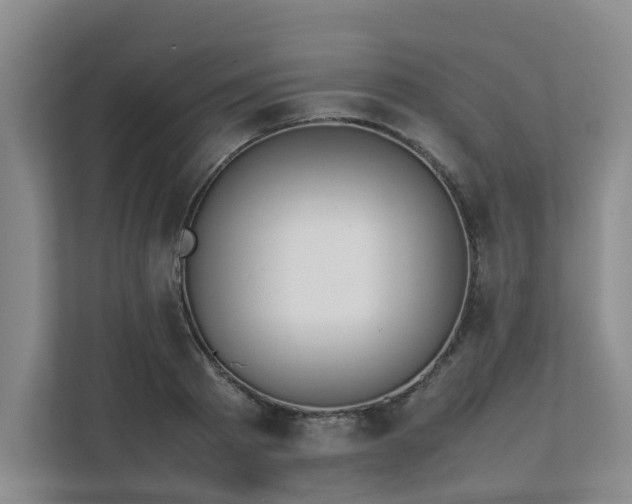 X0000111490793200907211008