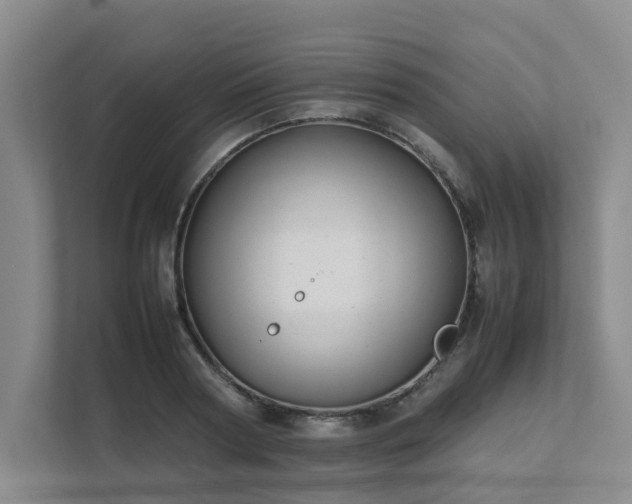 X0000111490794200907211008