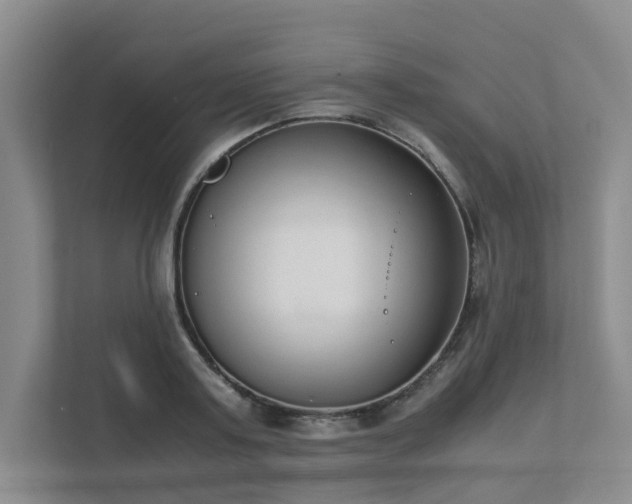 X0000111490795200907211008