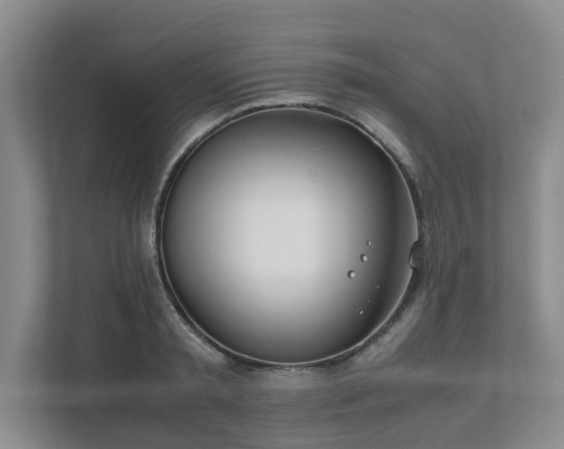 X0000111490797200907211008