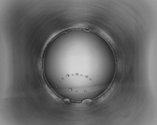 X0000111490800200907211008