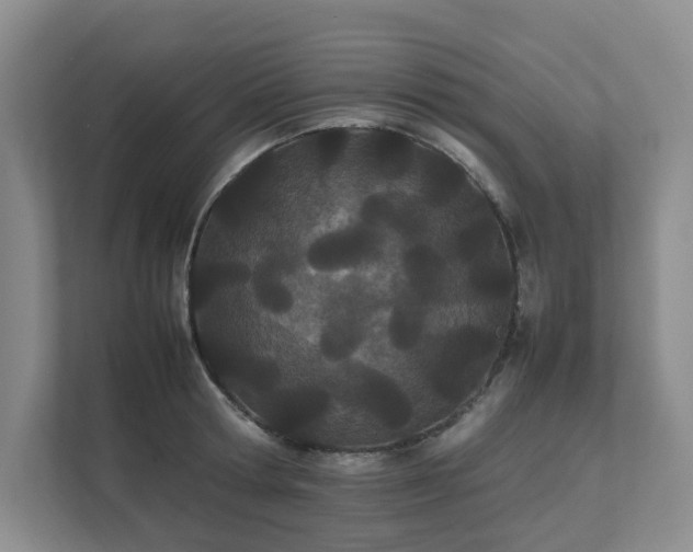 X0000111490802200907211008