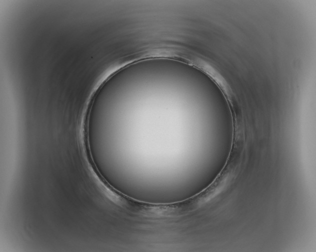 X0000111490803200907211008