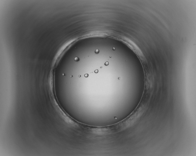 X0000111490804200907211008