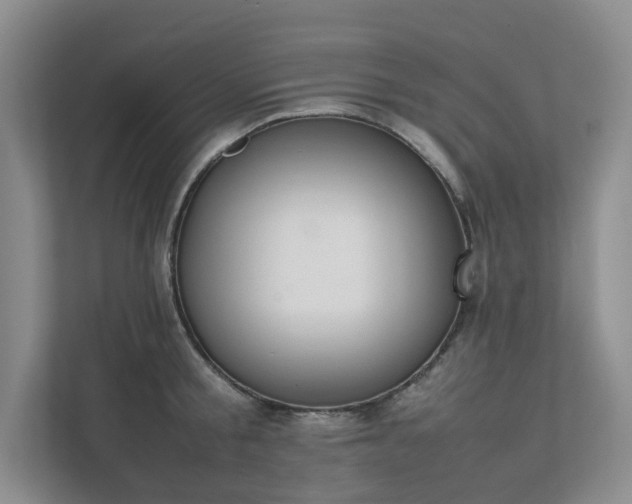 X0000111490805200907211008