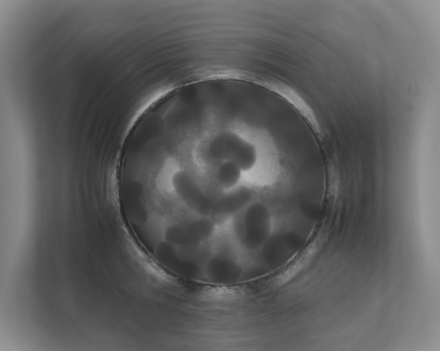 X0000111490806200907211008