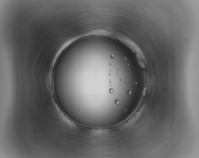 X0000111490808200907211008