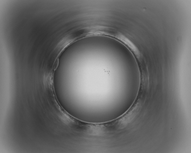 X0000111490809200907211008