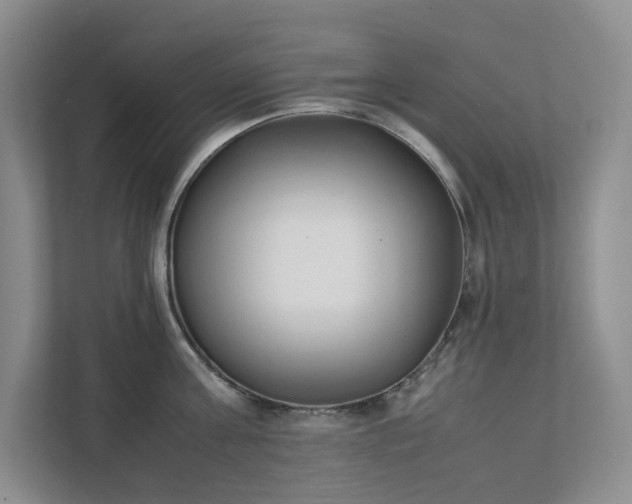 X0000111490811200907211008