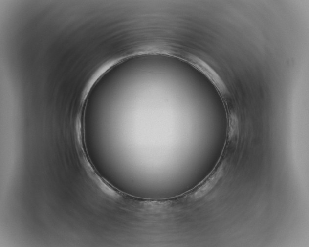 X0000111490812200907211008