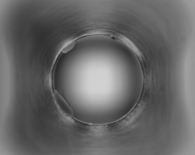 X0000111490813200907211008