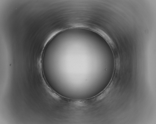 X0000111490814200907211008