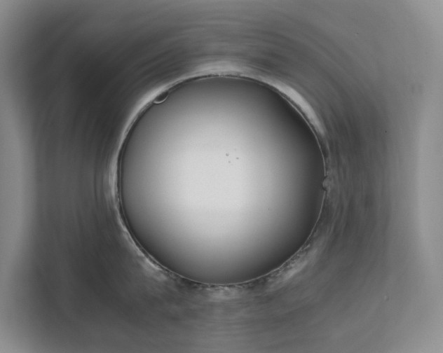 X0000111490815200907211008