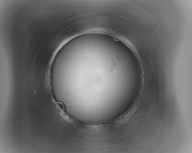 X0000111490816200907211008