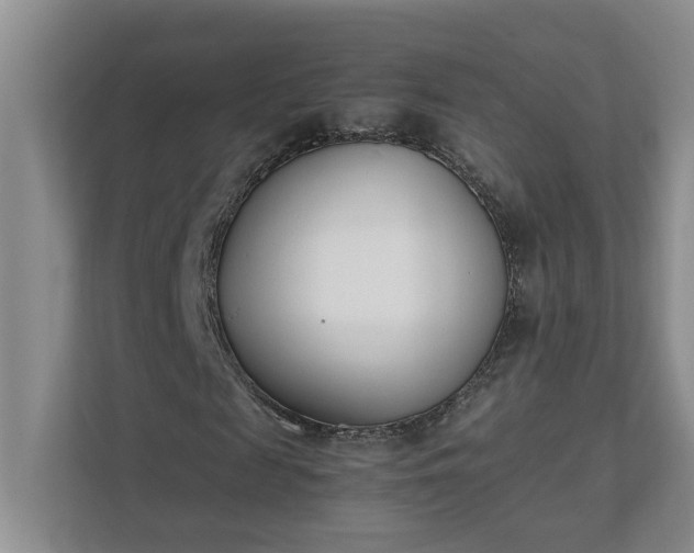 X0000111490817200907211007