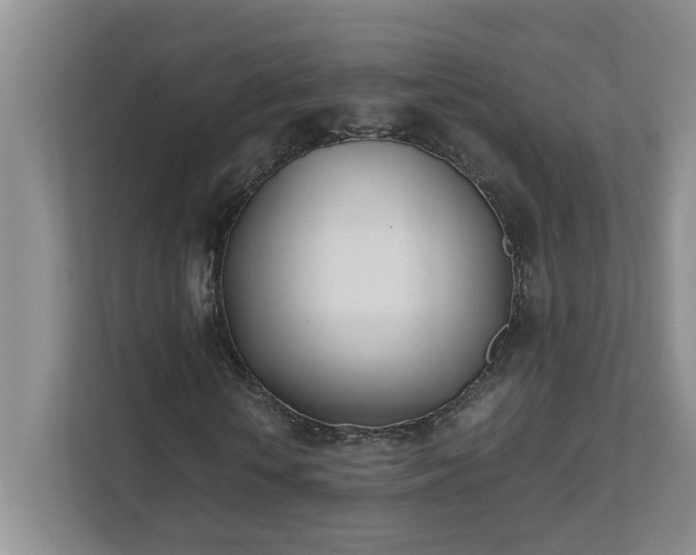 X0000111490818200907211007