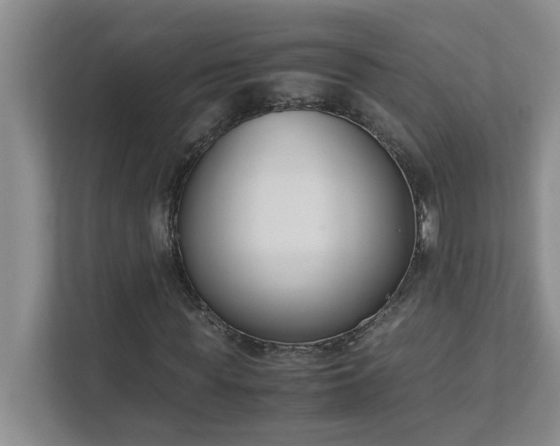 X0000111490819200907211007