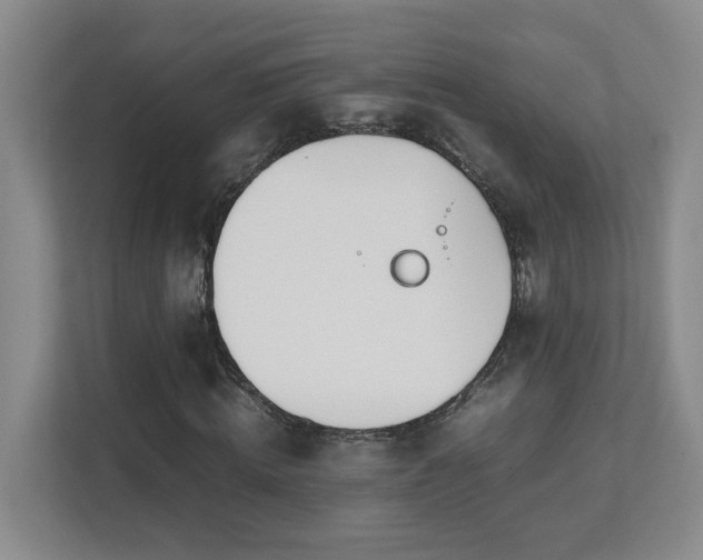 X0000111490820200907211007