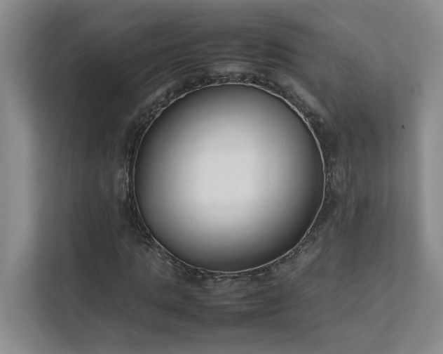 X0000111490821200907211007