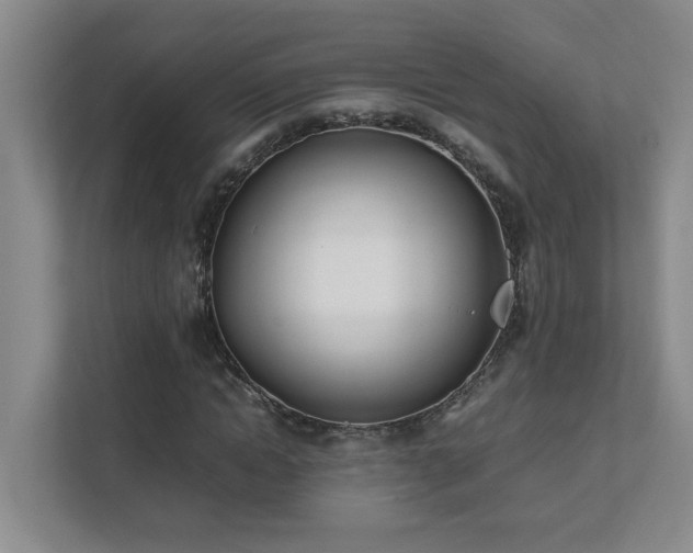 X0000111490822200907211007