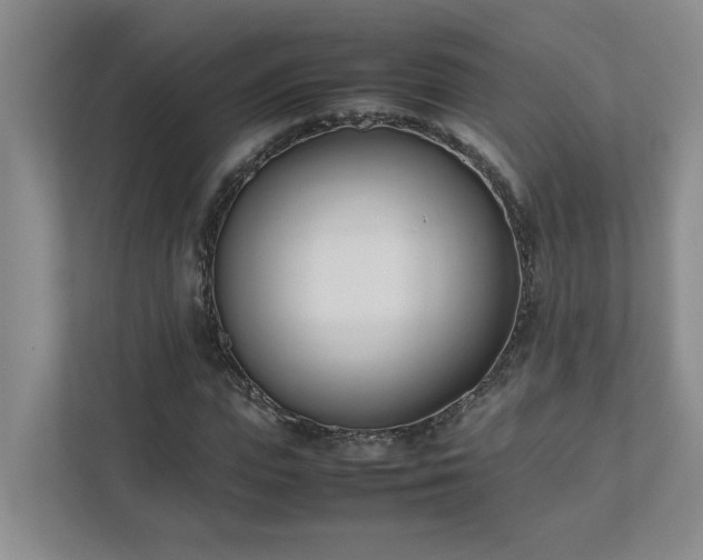 X0000111490823200907211007