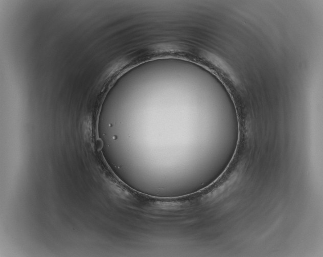 X0000111490825200907211007