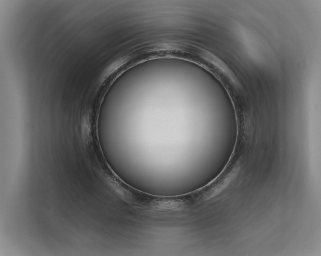 X0000111490826200907211007