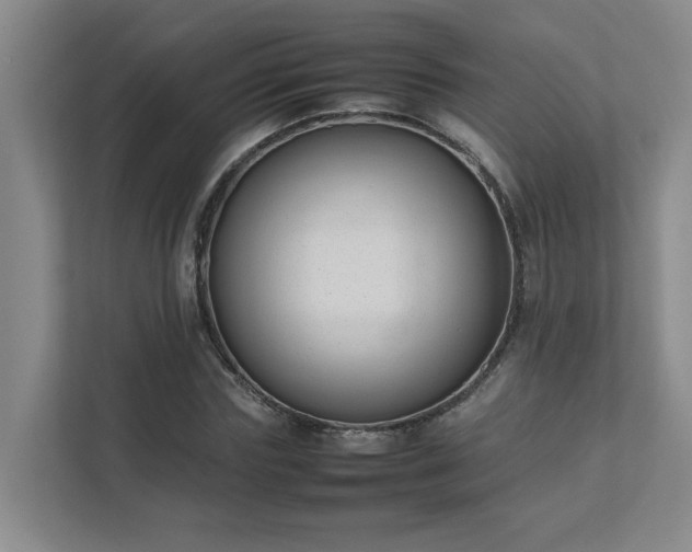 X0000111490827200907211007