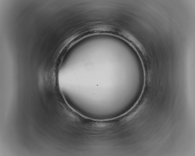 X0000111490829200907211007