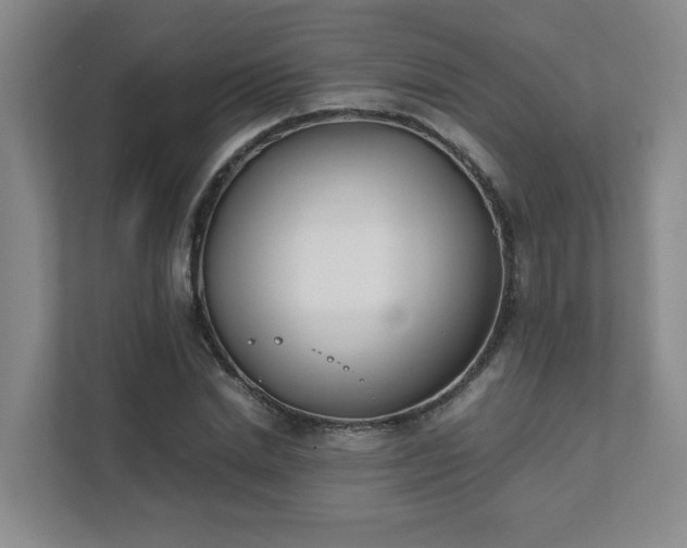 X0000111490830200907211007