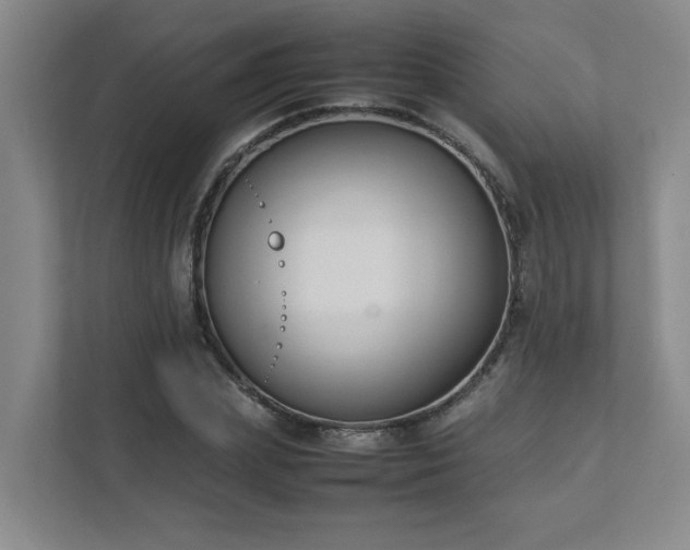 X0000111490831200907211007