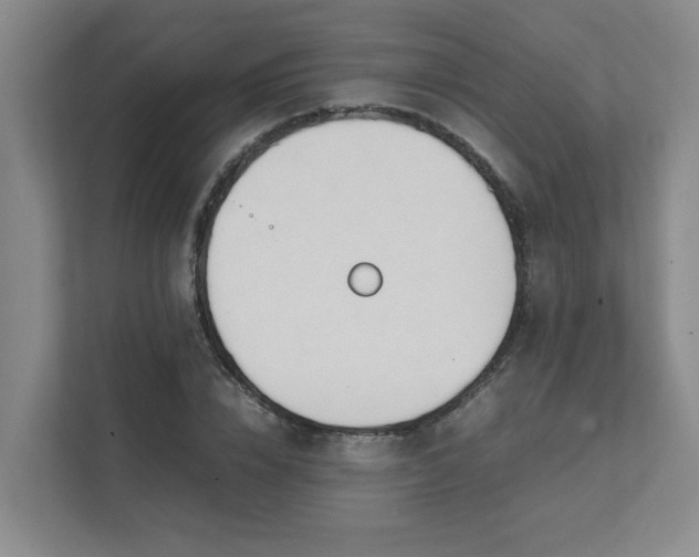 X0000111490832200907211008