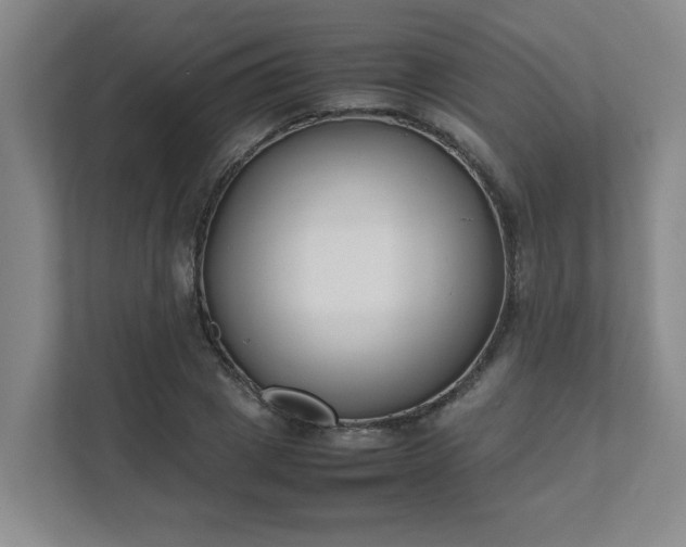 X0000111490833200907211008