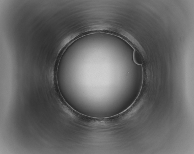 X0000111490834200907211008