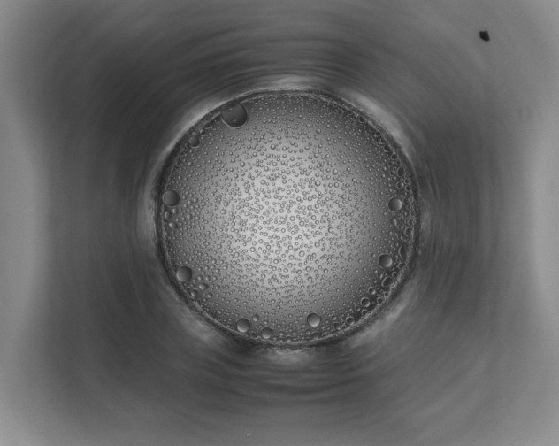 X0000111490835200907211008