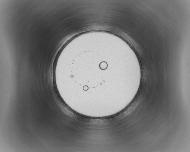 X0000111490836200907211008