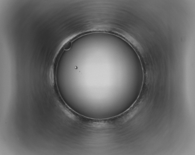 X0000111490838200907211008