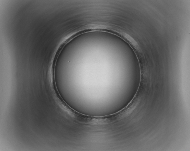 X0000111490840200907211008