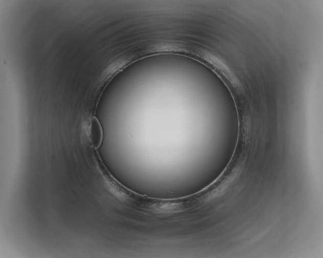 X0000111490841200907211008