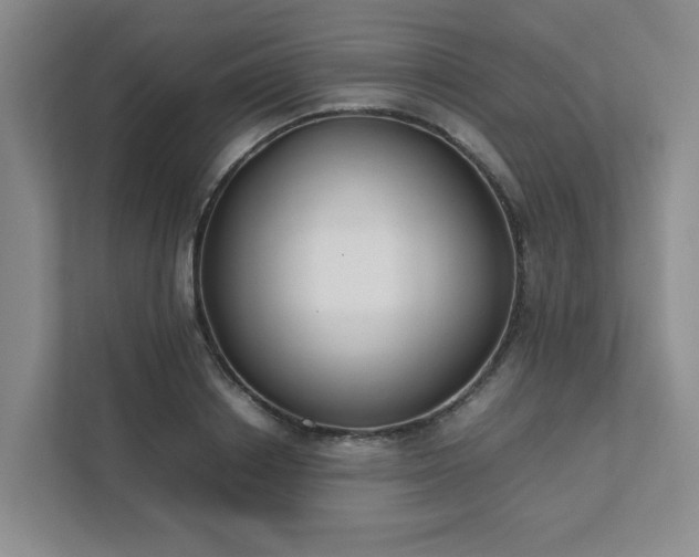 X0000111490842200907211008