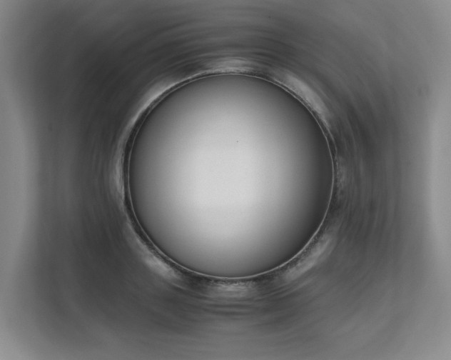 X0000111490843200907211008